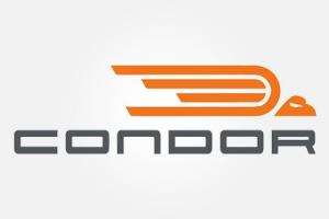 logo-condor-capaccioli.jpg